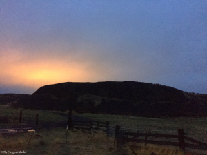 Light pollution from greenhouse lights