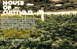 Seattle House of Cultivar SODO