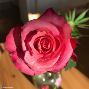 roll a rose blunt with cannabis