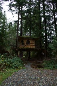 treehouse living is a very fun and relaxing adventure