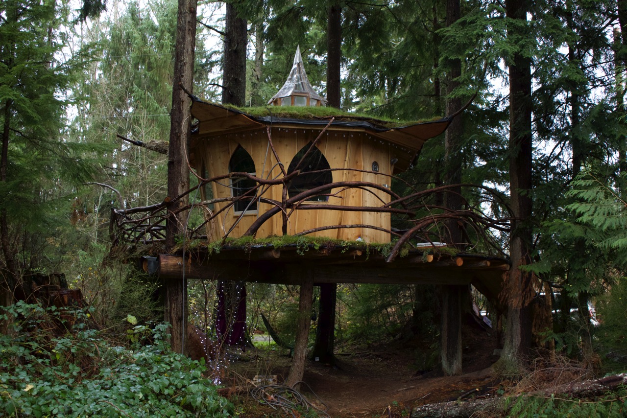 Treehouse living in Monroe, WA is fun!