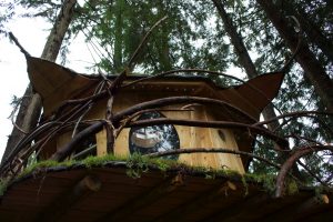 Enjoy a nature retreat at the Montain Views B&B Treehouse.