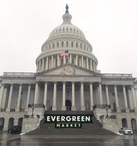 Cannabis Legalization discussed in Washington D.C.