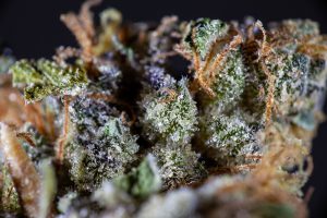 Nebula Gardens Rozay Sherbert is a great experience and smoke; it's easy to pick up convenient to kent, tukwila, federal way, and fairwood..