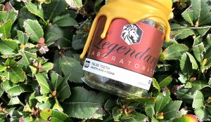 LEgendary Labs is some damn tasty weed