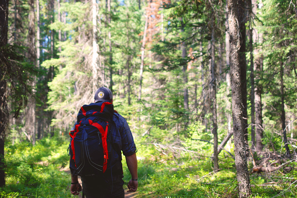 A man hiking in the woods in the sunshine with a backpack