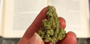 A nug of Hygge Farms 4rilla Glue in front of an open book