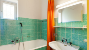 bathroom zoom meeting background